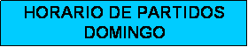 Cuadro de texto: HORARIO DE PARTIDOS
DOMINGO